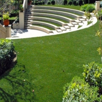 Artificial Grass Carpet Naples Park, Florida Landscape Photos