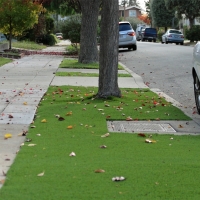 Artificial Grass Carpet Pine Castle, Florida Landscaping Business, Front Yard Design