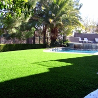 Artificial Grass Carpet Pinellas Park, Florida Landscape Photos, Backyard Designs