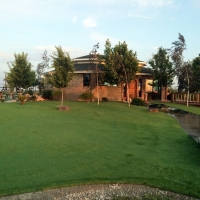 Artificial Grass Carpet Seffner, Florida Lawn And Landscape, Commercial Landscape