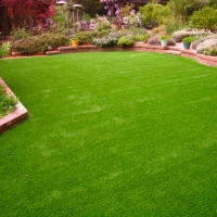 Artificial Grass Carpet South Daytona, Florida City Landscape, Backyard