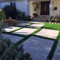 Artificial Grass Carpet Southeast Arcadia, Florida Backyard Deck Ideas, Front Yard Ideas