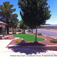 Artificial Grass Carpet Wauchula, Florida Landscaping Business, Small Front Yard Landscaping