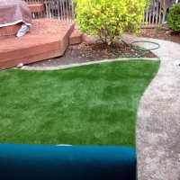 Artificial Grass Elfers, Florida Landscape Photos, Small Backyard Ideas