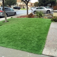 Artificial Grass Gifford, Florida Home And Garden, Landscaping Ideas For Front Yard