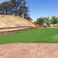 Artificial Grass Ives Estates, Florida Backyard Putting Green, Backyard Designs