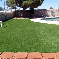 Artificial Grass Southchase, Florida Dogs, Backyard Pool