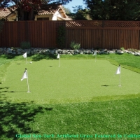 Artificial Turf Installation Avon Park, Florida Backyard Playground, Backyard