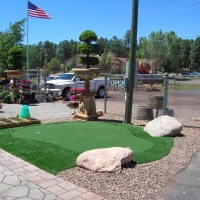 Best Artificial Grass Longwood, Florida Roof Top, Commercial Landscape