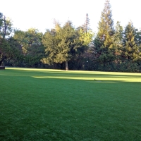 Fake Grass Carpet Clermont, Florida City Landscape, Recreational Areas