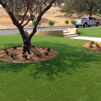 Fake Grass Carpet Miami Gardens, Florida Landscape Design, Landscaping Ideas For Front Yard