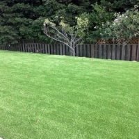 Fake Grass Carpet Pace, Florida Lawns, Backyard