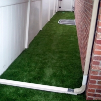 Fake Grass Ensley, Florida Landscaping Business, Backyard Ideas