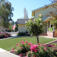 Fake Grass Jacksonville Beach, Florida City Landscape, Front Yard Landscaping Ideas