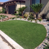 Fake Grass New Port Richey East, Florida Garden Ideas, Front Yard Landscaping Ideas