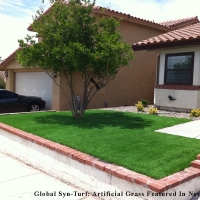 Fake Grass Venice Gardens, Florida Backyard Deck Ideas, Front Yard Landscape Ideas