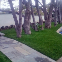 Fake Grass West Perrine, Florida Landscape Design, Front Yard Ideas