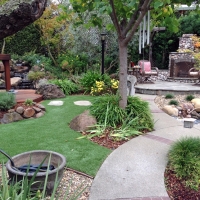 Fake Lawn Carrollwood, Florida Landscape Photos, Backyard Ideas