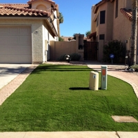 Fake Lawn Longwood, Florida Landscape Ideas, Front Yard Landscape Ideas