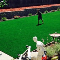 Fake Turf Tamiami, Florida Landscape Ideas, Backyard Designs