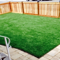 Fake Turf University Park, Florida Landscape Design, Backyard