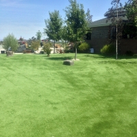 Faux Grass Citrus Ridge, Florida Artificial Turf For Dogs, Parks