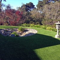 Faux Grass Cypress Lake, Florida Design Ideas, Backyard Makeover