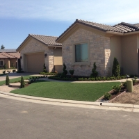 Faux Grass Ferry Pass, Florida Home And Garden, Front Yard Landscape Ideas