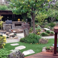 Grass Carpet Bloomingdale, Florida Home And Garden, Backyard Landscape Ideas