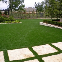 Grass Carpet Willow Oak, Florida Garden Ideas, Backyard Landscaping