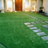 Grass Installation Citra, Florida Paver Patio, Landscaping Ideas For Front Yard