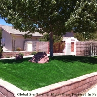 Grass Turf South Venice, Florida Landscape Design, Small Front Yard Landscaping