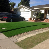 Green Lawn Avon Park, Florida Backyard Playground, Front Yard Landscaping Ideas