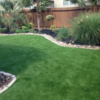 Green Lawn Miramar, Florida Pet Turf, Backyard Makeover