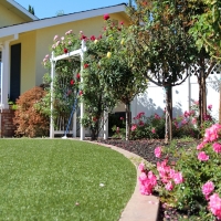 Green Lawn Saint Augustine Shores, Florida Landscape Design, Front Yard