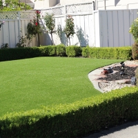 Green Lawn Springfield, Florida Landscape Ideas, Backyards