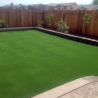 Green Lawn Winter Haven, Florida Lawn And Landscape, Backyard Garden Ideas