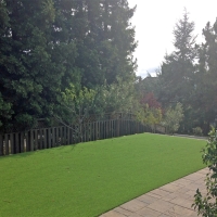 How To Install Artificial Grass Tallahassee, Florida Landscaping Business, Backyard Ideas