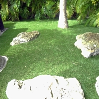 Installing Artificial Grass South Bradenton, Florida City Landscape, Backyards