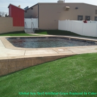 Outdoor Carpet North Fort Myers, Florida Gardeners, Above Ground Swimming Pool