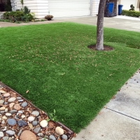 Synthetic Grass Cost Orlando, Florida Home And Garden, Front Yard Landscape Ideas