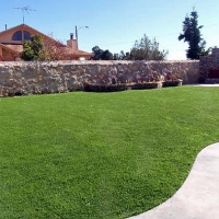 Synthetic Grass Groveland, Florida Lawns, Beautiful Backyards