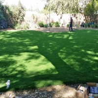 Synthetic Grass Ormond-by-the-Sea, Florida Garden Ideas, Backyard Design