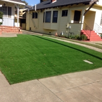 Synthetic Turf East Lake, Florida Garden Ideas, Front Yard Design