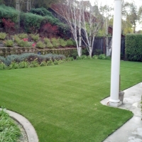 Synthetic Turf Hernando, Florida Landscape Rock, Beautiful Backyards