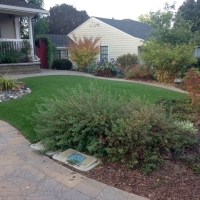 Synthetic Turf Supplier Buenaventura Lakes, Florida Gardeners, Front Yard Landscaping Ideas