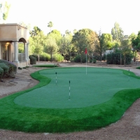 Synthetic Turf Supplier Citrus Hills, Florida Backyard Playground, Backyard Garden Ideas