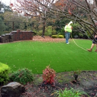 Synthetic Turf Supplier Fort Myers, Florida City Landscape, Backyard Garden Ideas