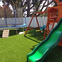 Synthetic Turf Supplier Three Lakes, Florida Playground, Backyard Garden Ideas