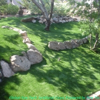 Synthetic Turf Warm Mineral Springs, Florida Backyard Deck Ideas, Commercial Landscape